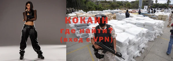сатива Медвежьегорск