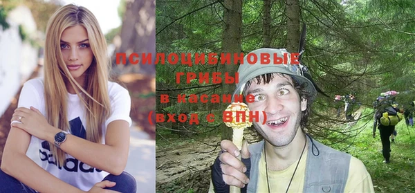 герыч Мегион