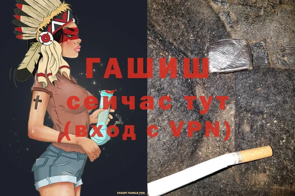 прущие грибы Верея