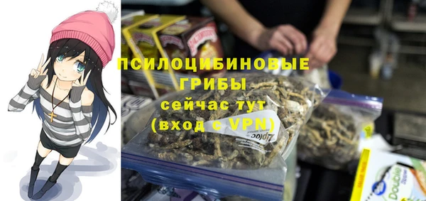 герыч Мегион