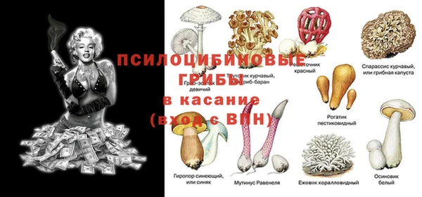 герыч Мегион