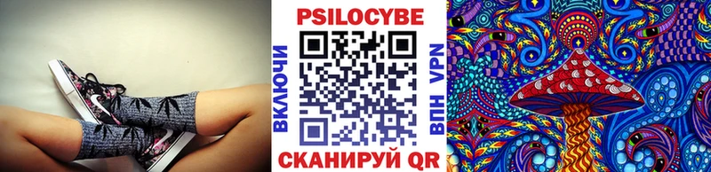 Галлюциногенные грибы Psilocybine cubensis  Ноябрьск 