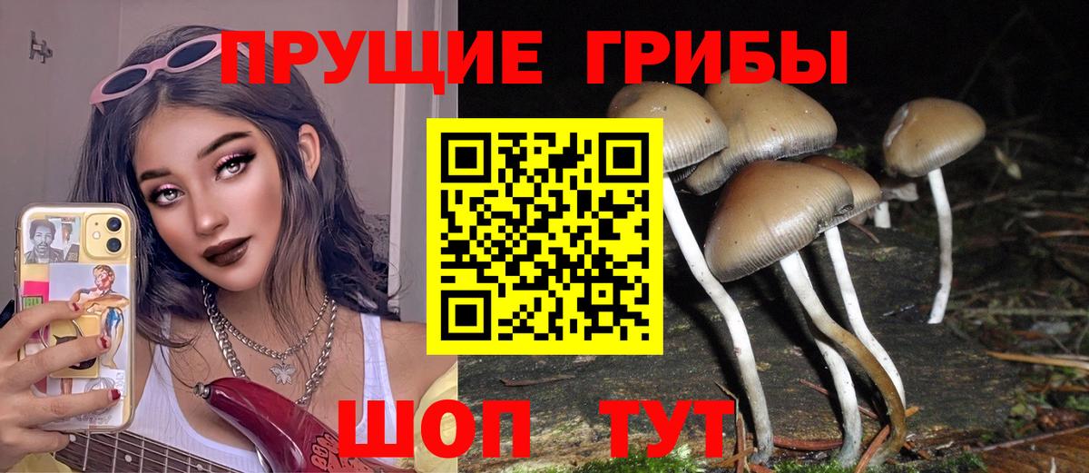 Ноябрьск  купить закладку  Галлюциногенные грибы мицелий  Вход с VPN  Галлюциногенные грибы MAGIC MUSHROOMS 