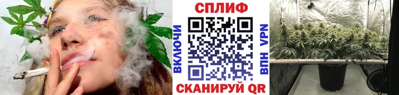 МАРИХУАНА сатива  Ноябрьск 